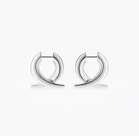 Earrings Flux